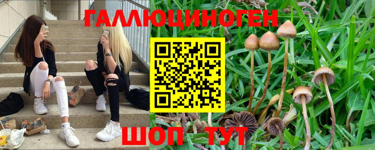 Галлюциногенные грибы мухоморы Фурманов