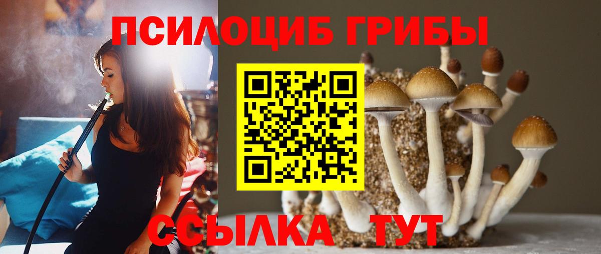 Фурманов  Галлюциногенные грибы GOLDEN TEACHER  Вход с VPN 