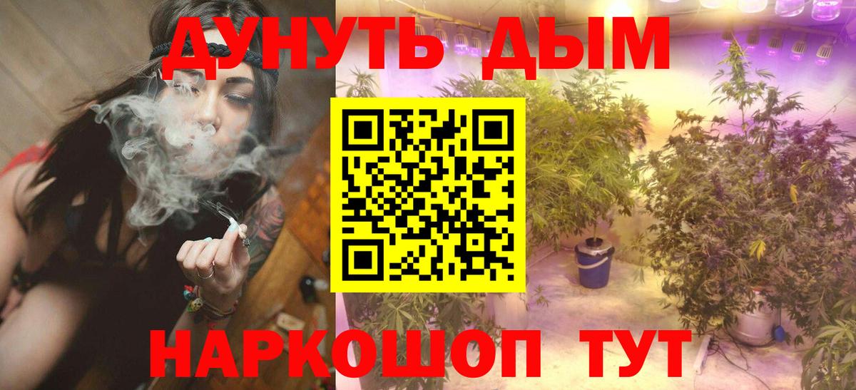 Канабис White Widow  Вход с VPN  Фурманов  Каннабис сатива 